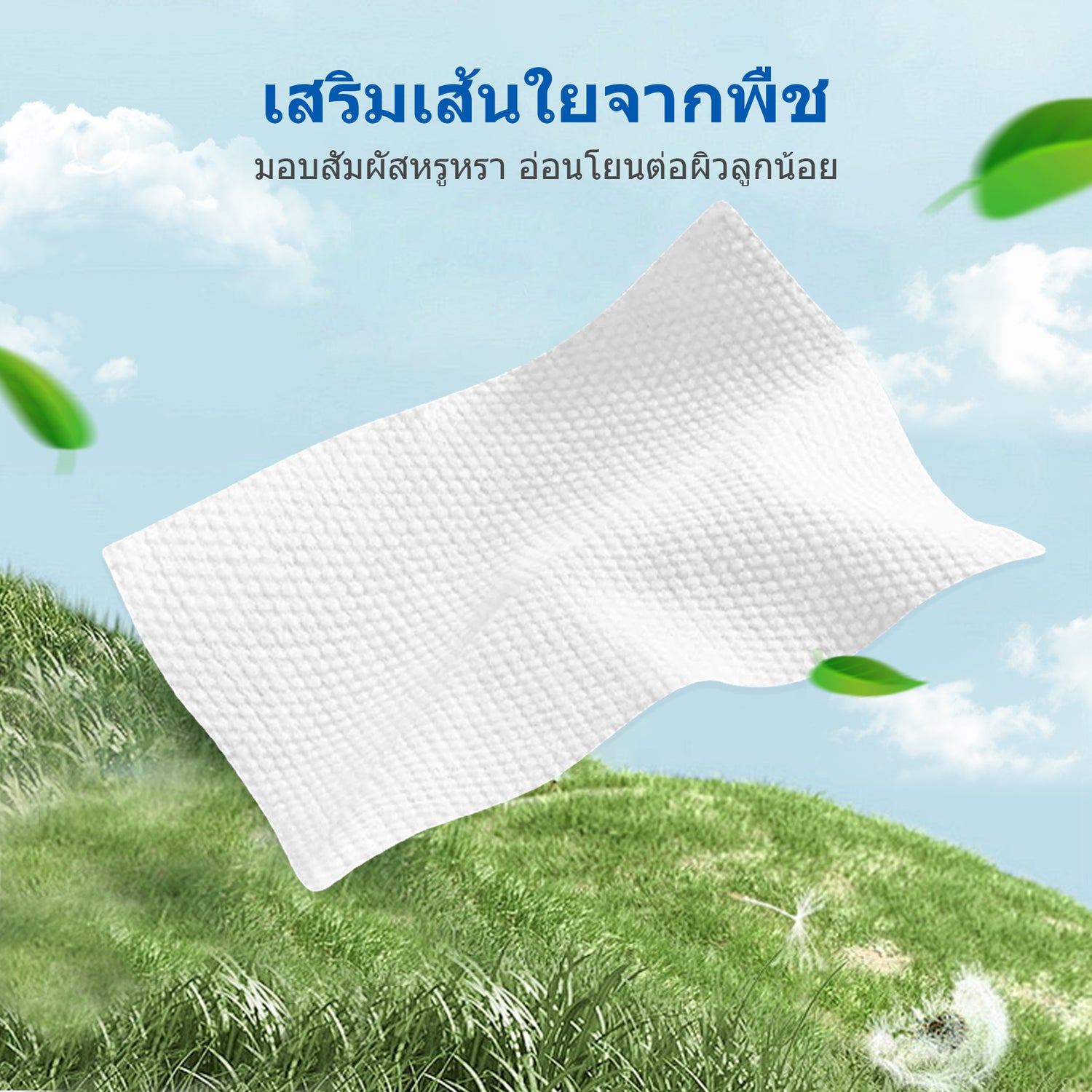 ทิชชู่เปียกเบบี้โคอาล่า